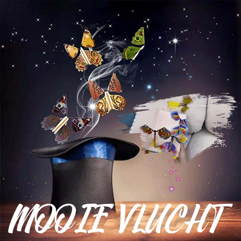 De magische vliegende vlinder